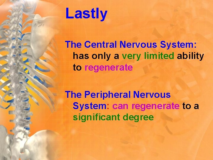 Lastly The Central Nervous System: has only a very limited ability to regenerate The