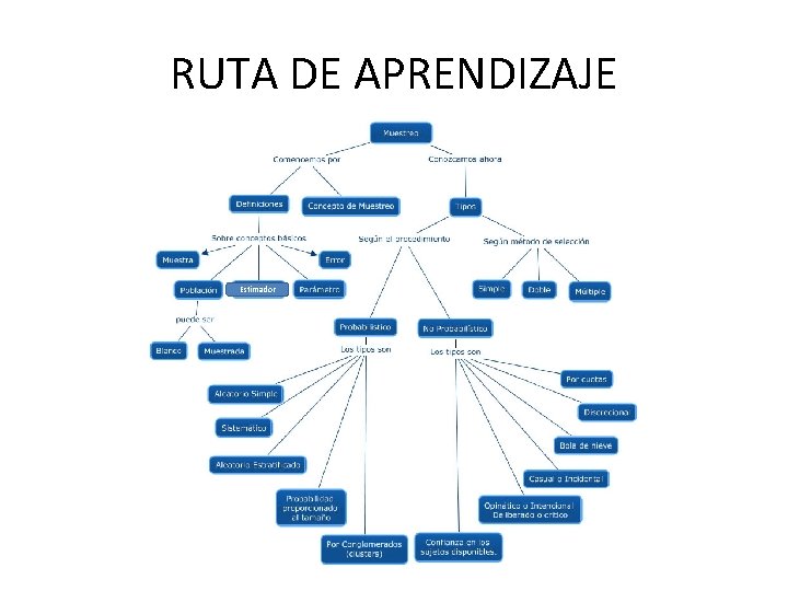 RUTA DE APRENDIZAJE Estimador 