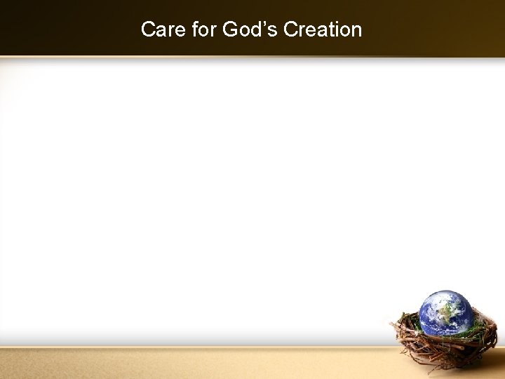 Care for God’s Creation 