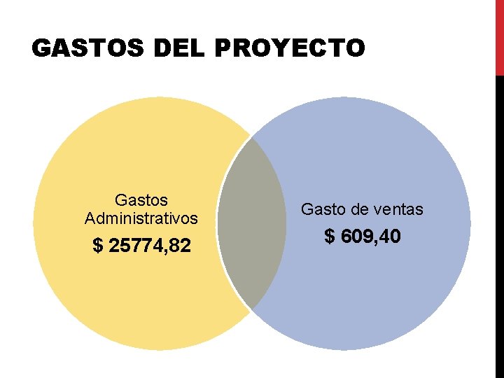 GASTOS DEL PROYECTO Gastos Administrativos $ 25774, 82 Gasto de ventas $ 609, 40 GASTOS DEL PROYECTO Gastos Administrativos $ 25774, 82 Gasto de ventas $ 609, 40