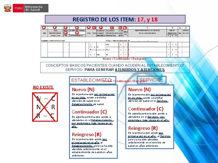 REGISTRO DE LOS ITEM: 17, y 18 Nuevo / Continuador / Reingreso CONCEPTOS BASICOS REGISTRO DE LOS ITEM: 17, y 18 Nuevo / Continuador / Reingreso CONCEPTOS BASICOS