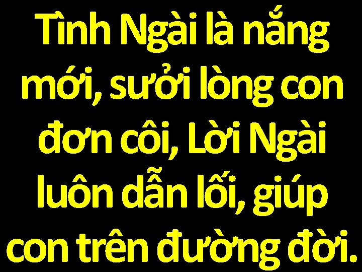 Tình Ngài là nắng mới, sưởi lòng con đơn côi, Lời Ngài luôn dẫn