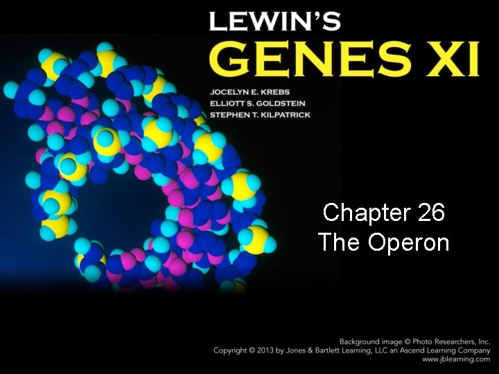 Chapter 26 The Operon 