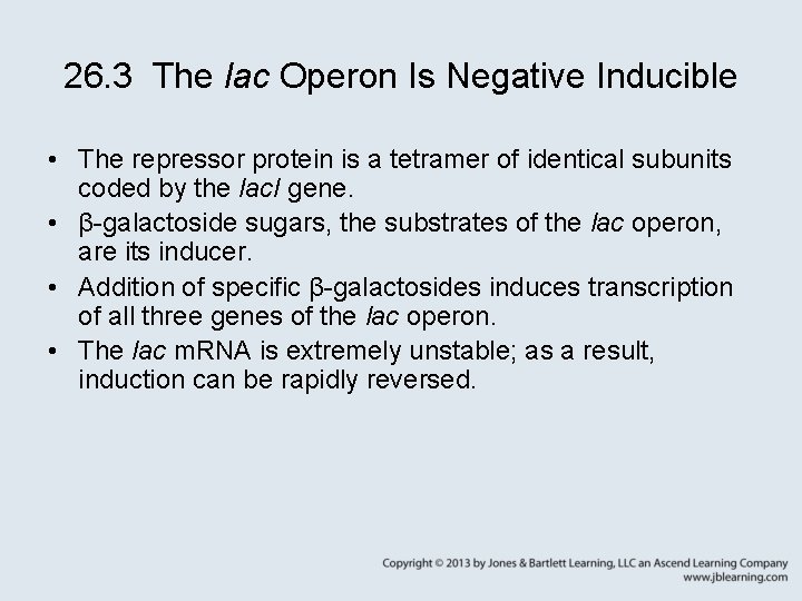 26. 3 The lac Operon Is Negative Inducible • The repressor protein is a