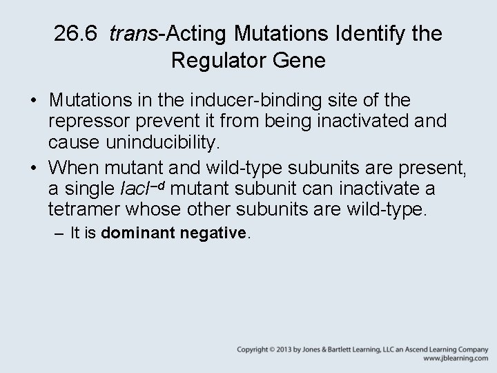 26. 6 trans-Acting Mutations Identify the Regulator Gene • Mutations in the inducer-binding site