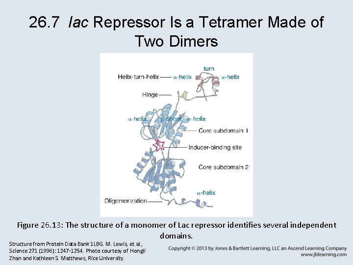 26. 7 lac Repressor Is a Tetramer Made of Two Dimers Figure 26. 13: