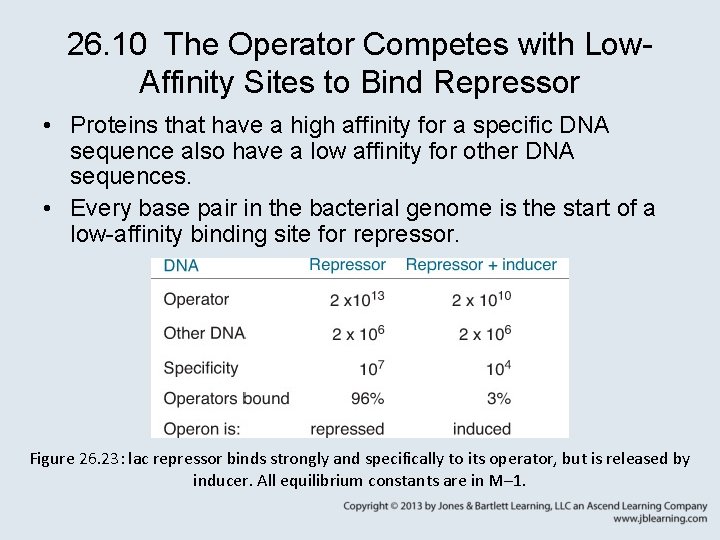 26. 10 The Operator Competes with Low. Affinity Sites to Bind Repressor • Proteins