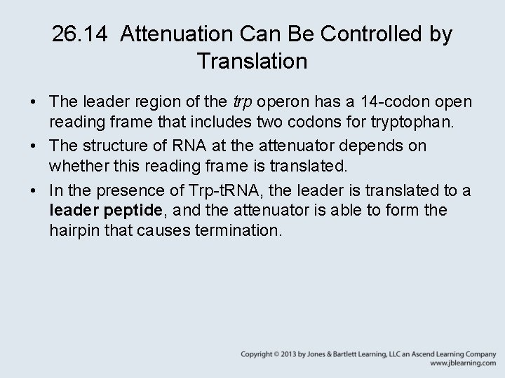 26. 14 Attenuation Can Be Controlled by Translation • The leader region of the