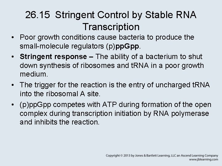 26. 15 Stringent Control by Stable RNA Transcription • Poor growth conditions cause bacteria