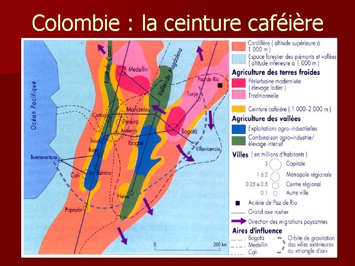 Colombie : la ceinture caféière Colombie : la ceinture caféière
