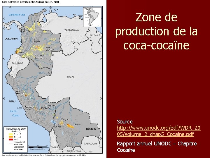 Zone de production de la coca-cocaïne Source http: //www. unodc. org/pdf/WDR_20 05/volume_2_chap 5_Cocaine. pdf Zone de production de la coca-cocaïne Source http: //www. unodc. org/pdf/WDR_20 05/volume_2_chap 5_Cocaine. pdf