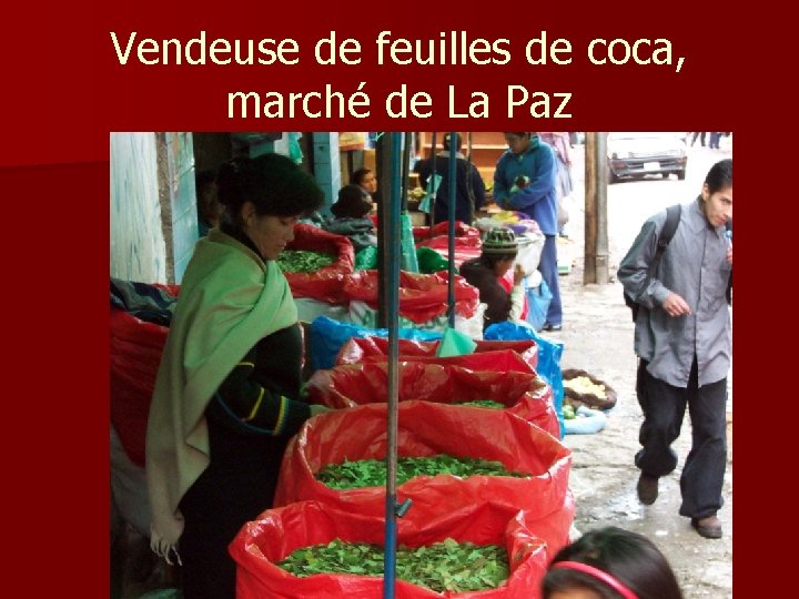 Vendeuse de feuilles de coca, marché de La Paz Vendeuse de feuilles de coca, marché de La Paz