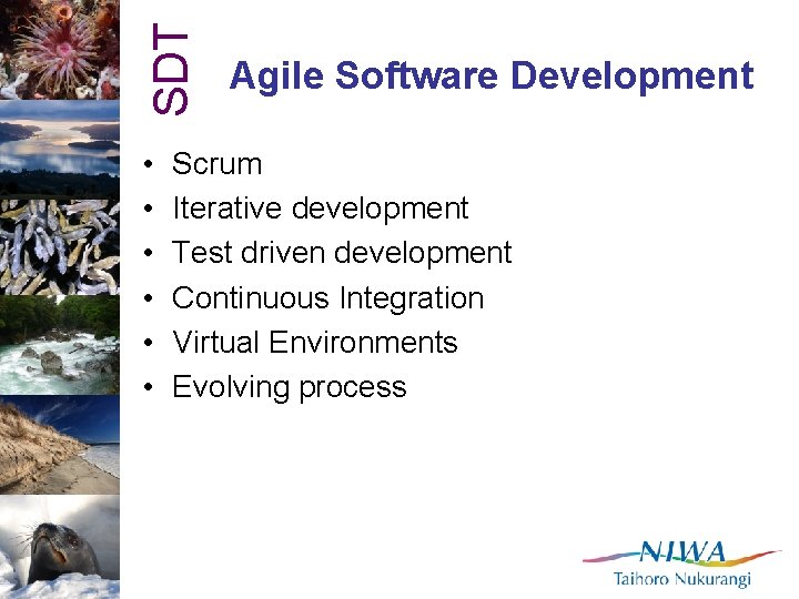 SDT • • • Agile Software Development Scrum Iterative development Test driven development Continuous