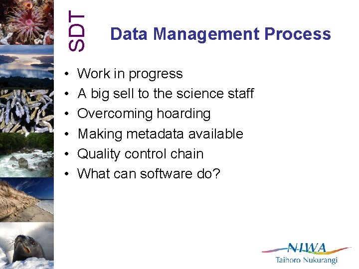 SDT • • • Data Management Process Work in progress A big sell to