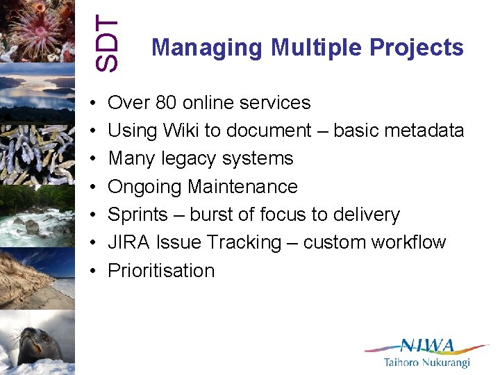SDT • • Managing Multiple Projects Over 80 online services Using Wiki to document