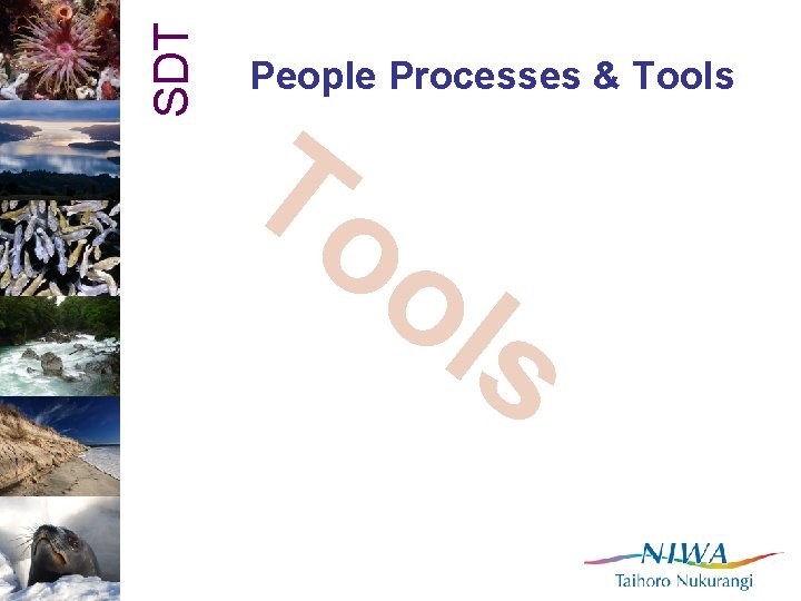SDT People Processes & Tools To ol s 