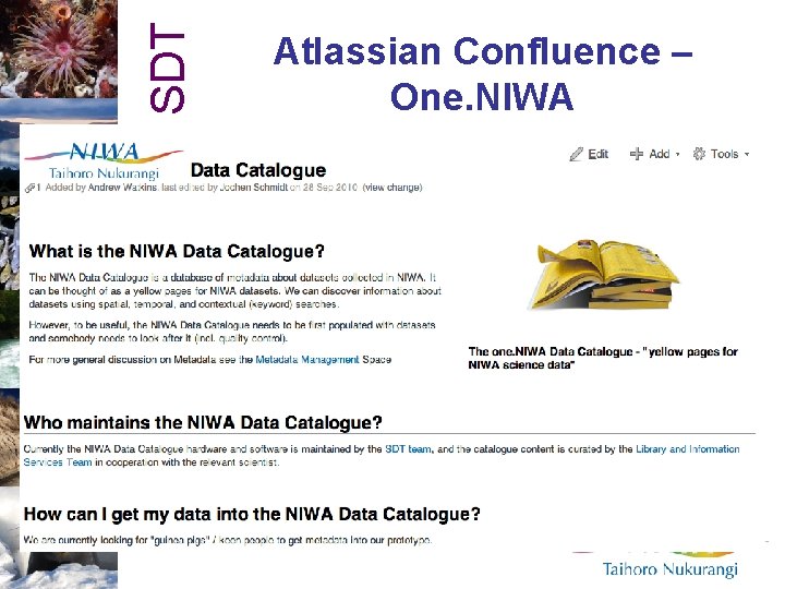 SDT Atlassian Confluence – One. NIWA 
