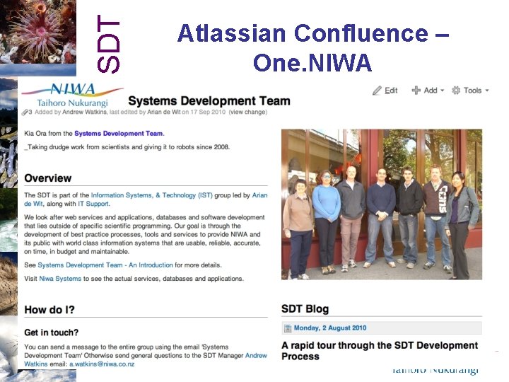 SDT Atlassian Confluence – One. NIWA 