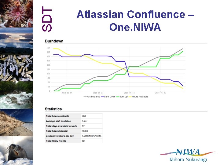 SDT Atlassian Confluence – One. NIWA 