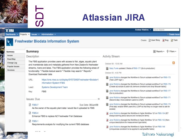 SDT Atlassian JIRA 