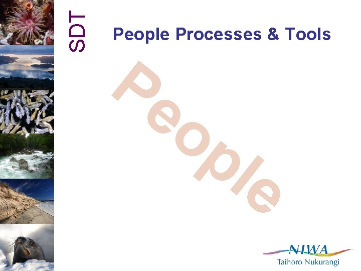 SDT People Processes & Tools Pe op le 