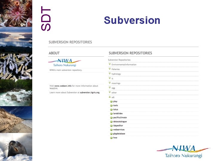SDT Subversion 