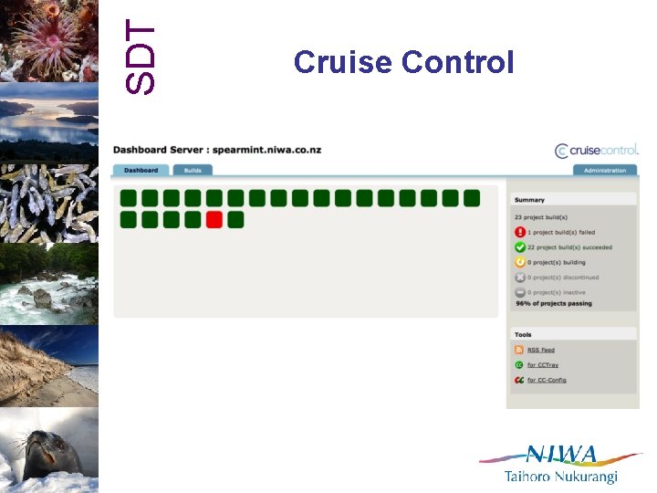SDT Cruise Control 