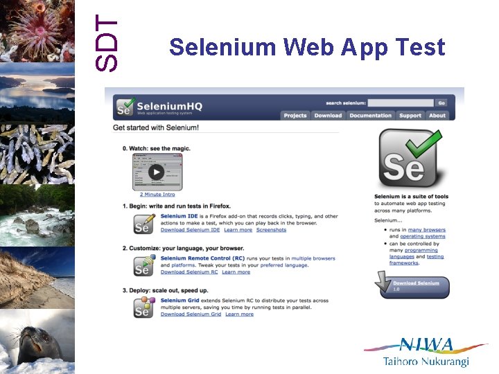 SDT Selenium Web App Test 