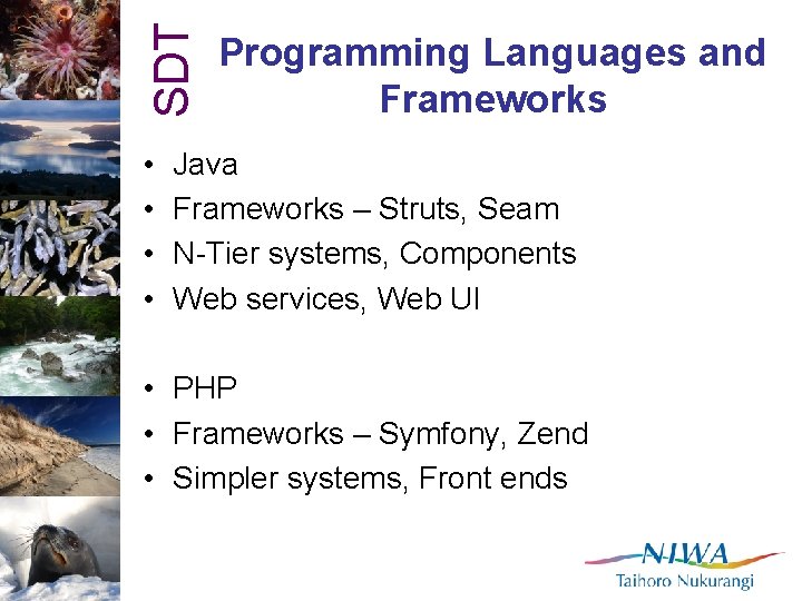 SDT • • Programming Languages and Frameworks Java Frameworks – Struts, Seam N-Tier systems,