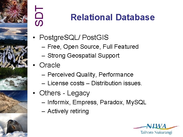 SDT Relational Database • Postgre. SQL/ Post. GIS – Free, Open Source, Full Featured