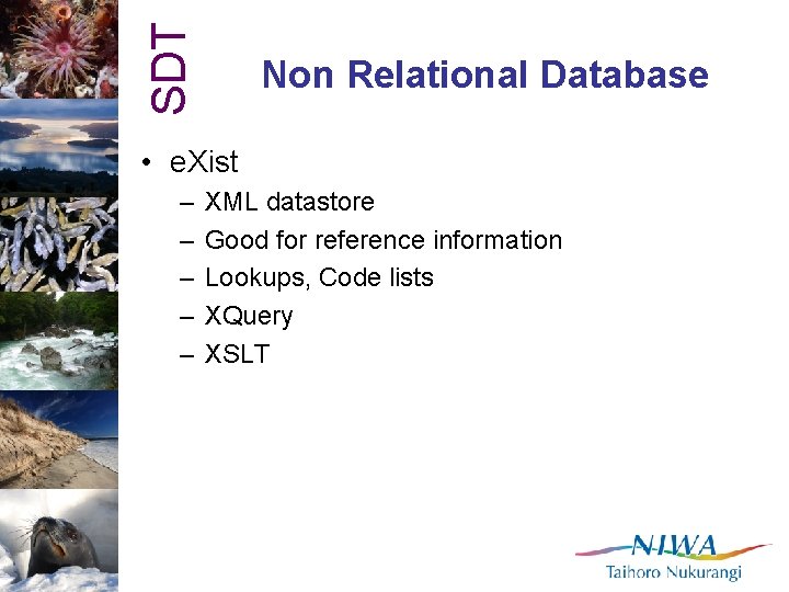 SDT Non Relational Database • e. Xist – – – XML datastore Good for