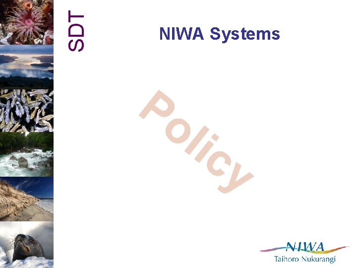 SDT NIWA Systems Po lic y 