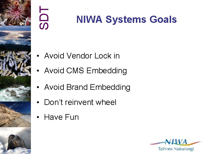SDT NIWA Systems Goals • Avoid Vendor Lock in • Avoid CMS Embedding •