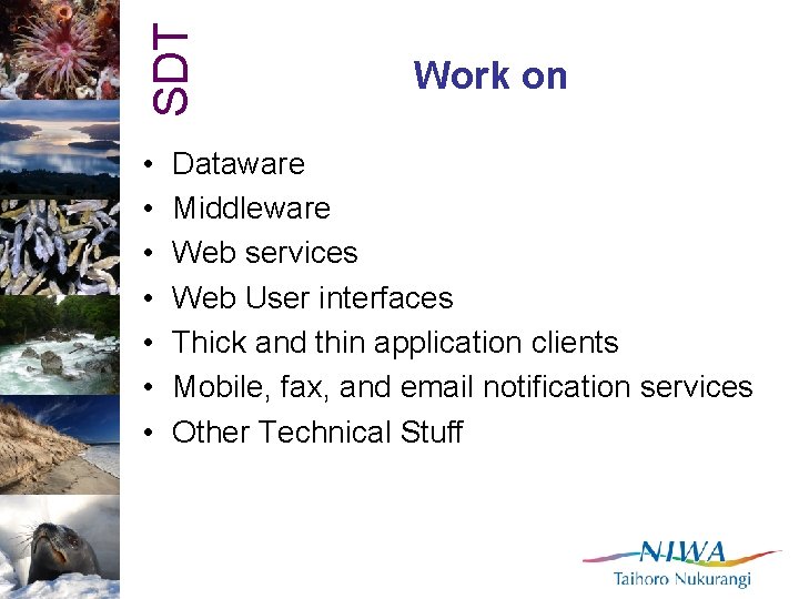 SDT • • Work on Dataware Middleware Web services Web User interfaces Thick and