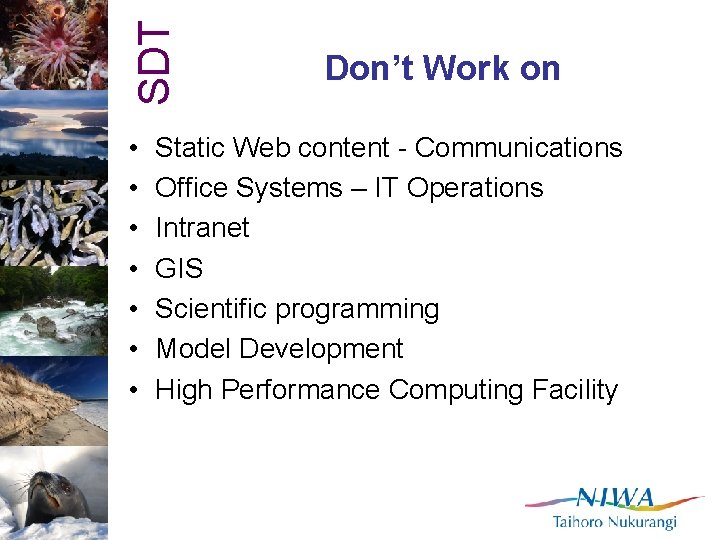 SDT • • Don’t Work on Static Web content - Communications Office Systems –