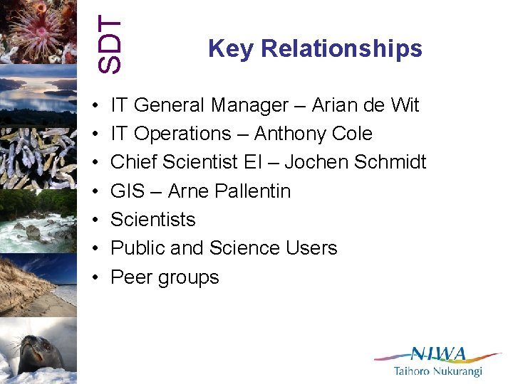 SDT • • Key Relationships IT General Manager – Arian de Wit IT Operations