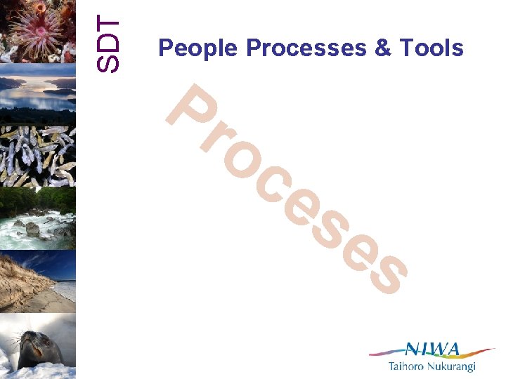 SDT People Processes & Tools Pr oc e se s 