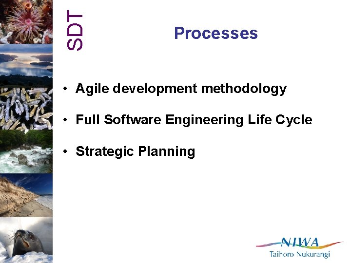 SDT Processes • Agile development methodology • Full Software Engineering Life Cycle • Strategic