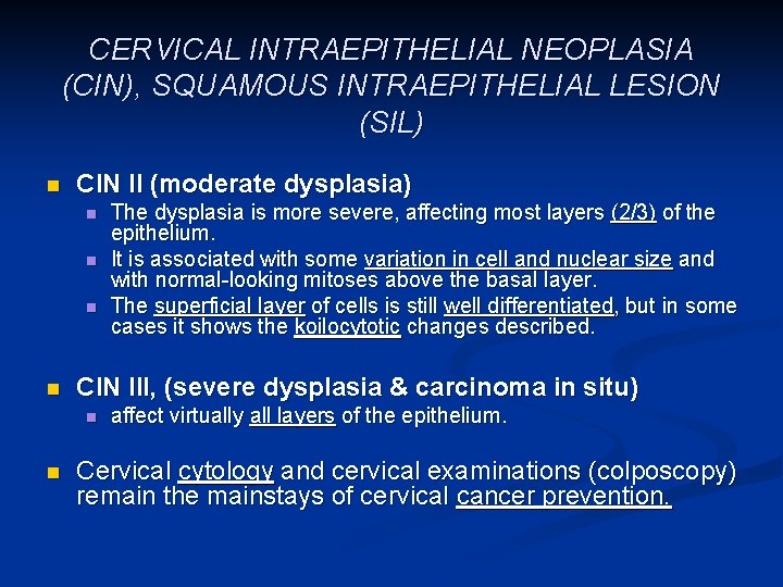 CERVICAL INTRAEPITHELIAL NEOPLASIA (CIN), SQUAMOUS INTRAEPITHELIAL LESION (SIL) n CIN II (moderate dysplasia) n