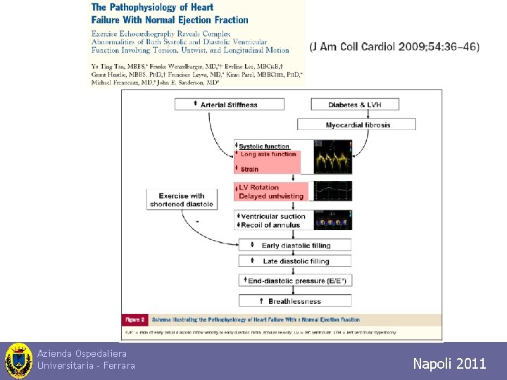Azienda Ospedaliera Universitaria - Ferrara Napoli Trieste Napoli 2010 2011 