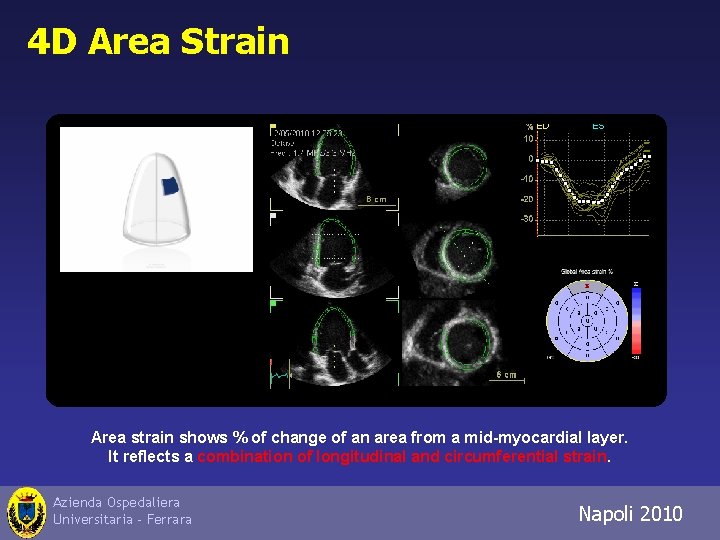 4 D Area Strain Area strain shows % of change of an area from