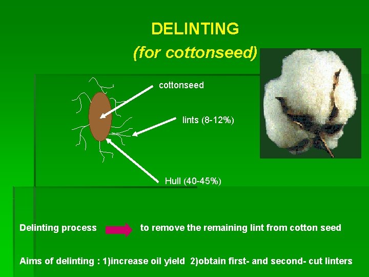 DELINTING (for cottonseed) cottonseed lints (8 -12%) Hull (40 -45%) Delinting process to remove