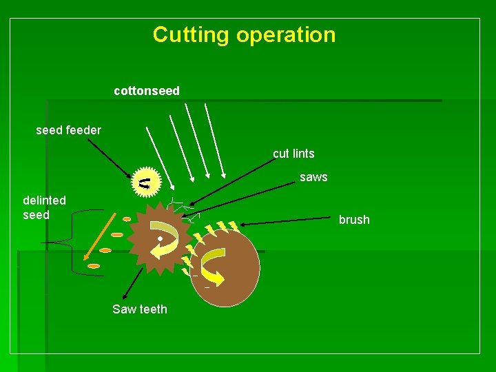 Cutting operation cottonseed feeder cut lints saws delinted seed brush Saw teeth 