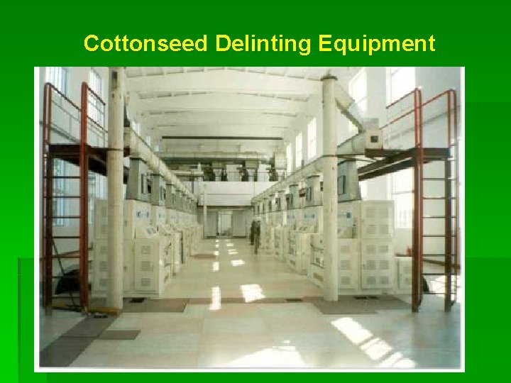 Cottonseed Delinting Equipment 