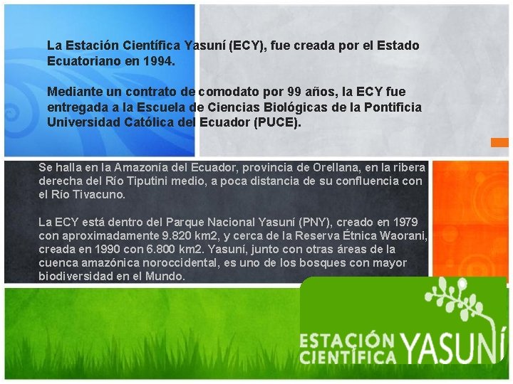 La Estación Científica Yasuní (ECY), fue creada por el Estado Ecuatoriano en 1994. Mediante