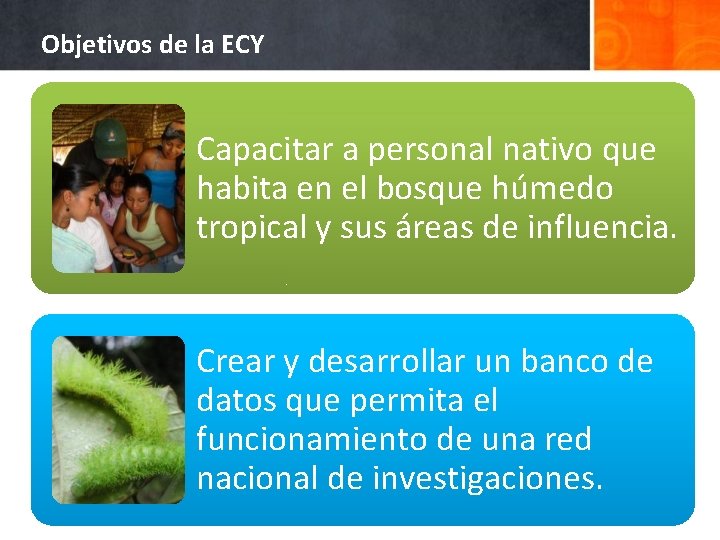 Objetivos de la ECY Capacitar a personal nativo que habita en el bosque húmedo