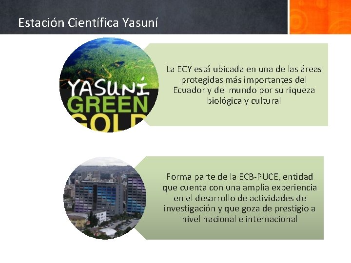 Estación Científica Yasuní La ECY está ubicada en una de las áreas protegidas más