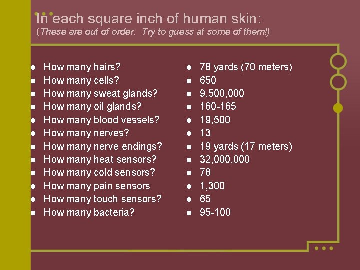 In each square inch of human skin: (These are out of order. Try to