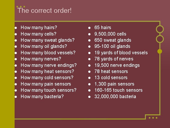 The correct order! l l l How many hairs? How many cells? How many