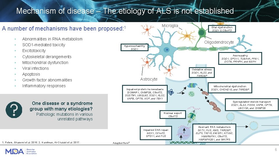 Mechanism of disease – The etiology of ALS is not established Microglia A number